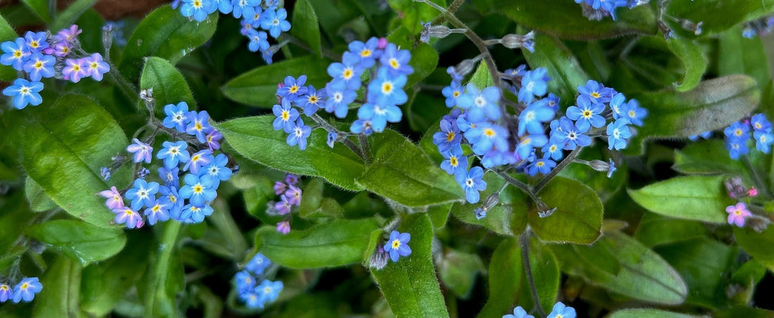 Bereavement Therapy: When a baby/child has died